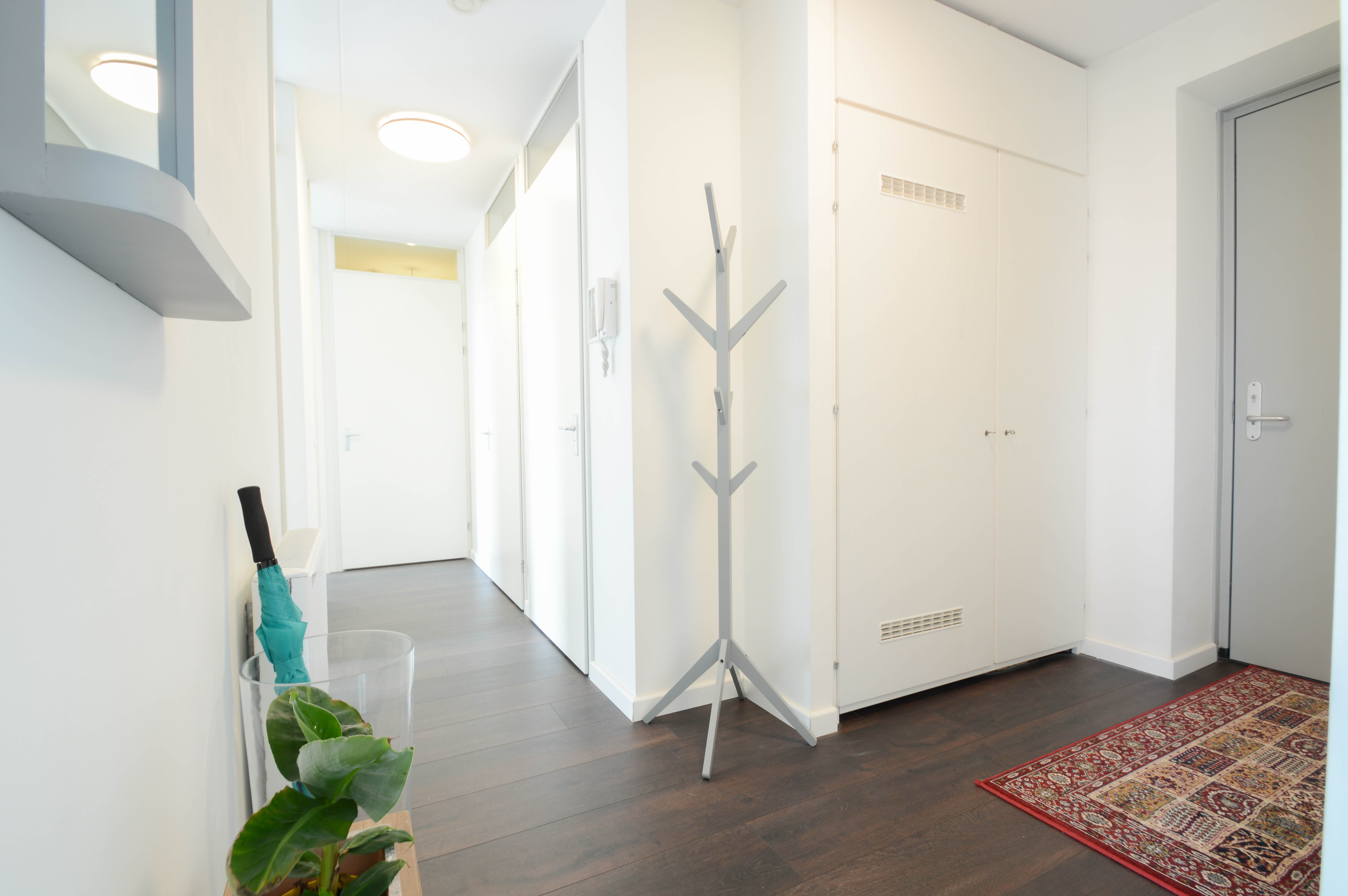 Property image 0 for 7