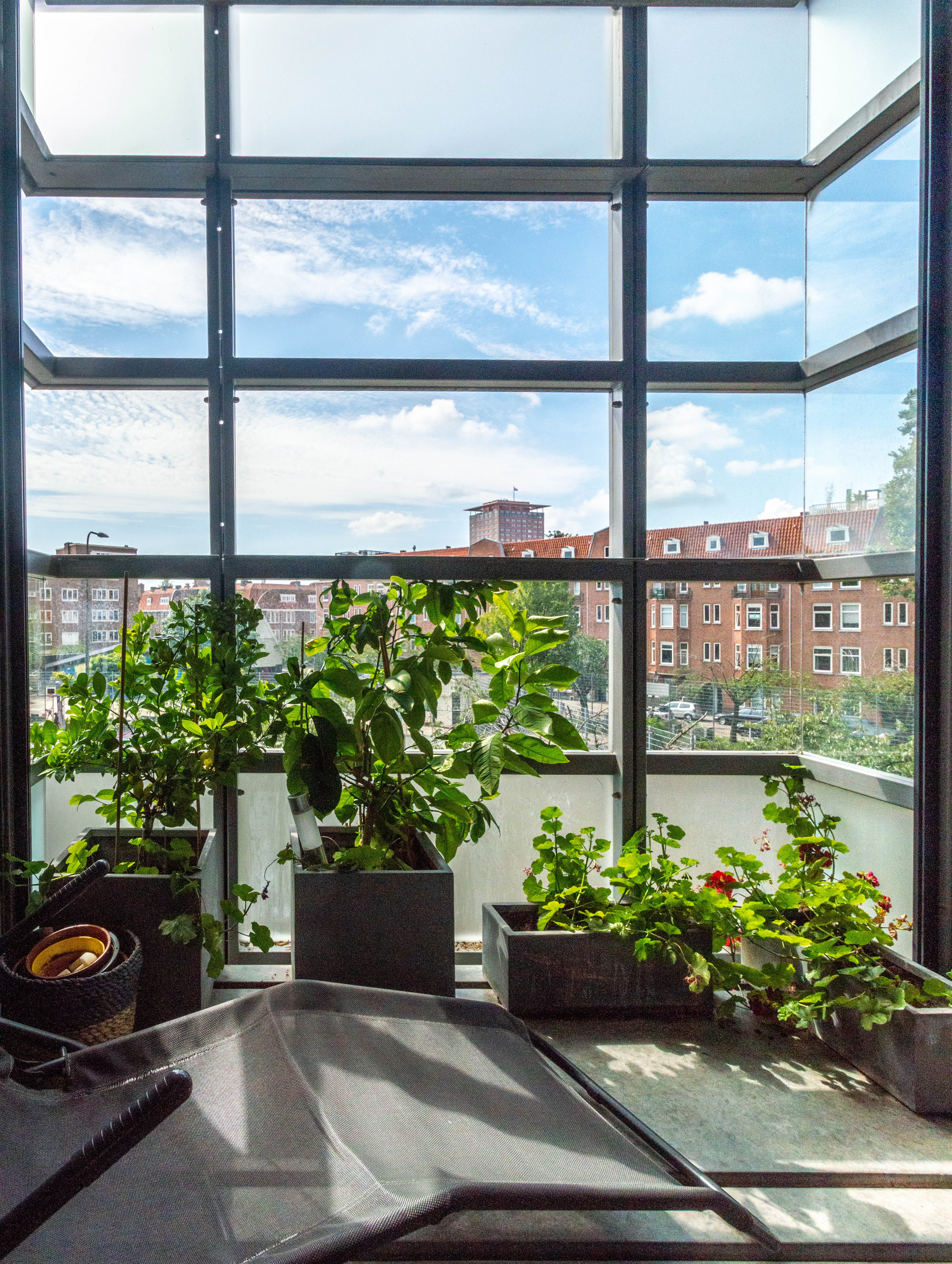 Eigenschapsafbeelding 0 voor 8