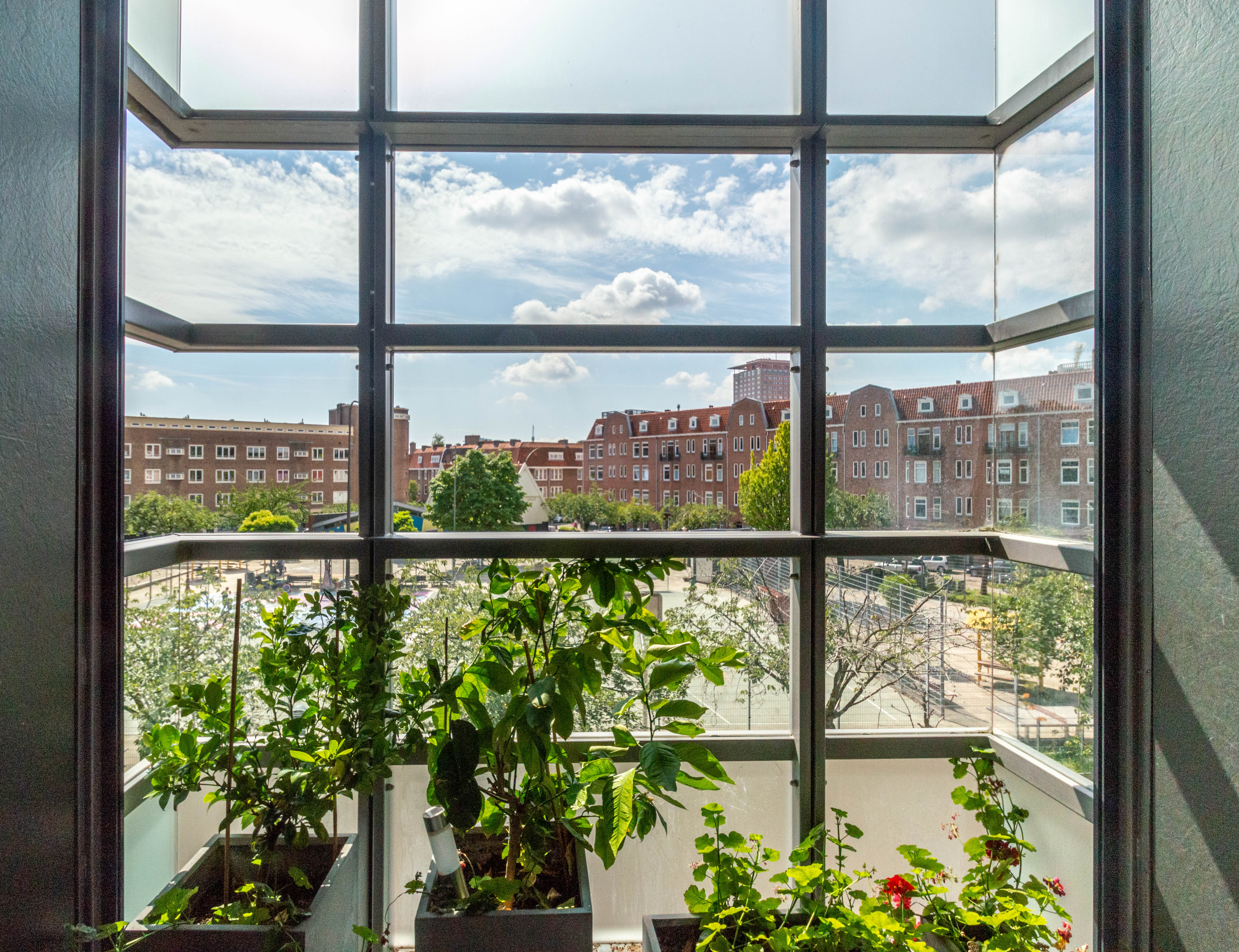 Eigenschapsafbeelding 0 voor 26