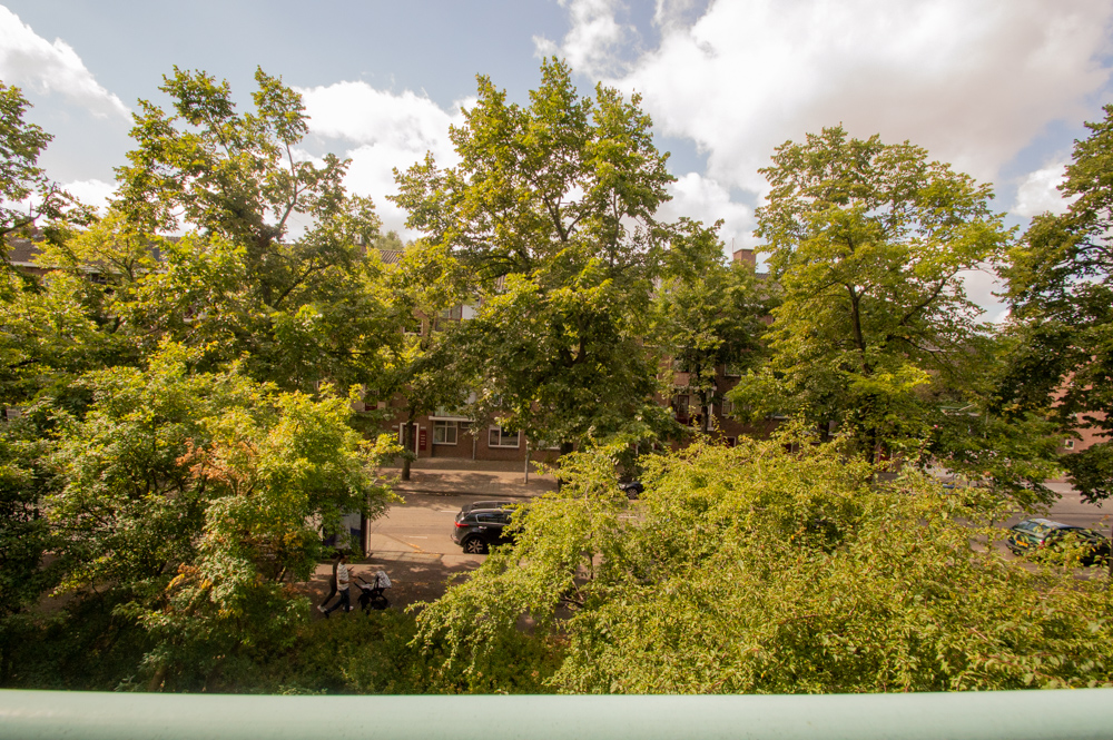 Property image 0 for 14